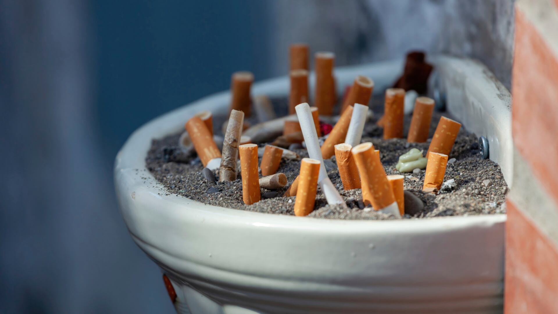 does chewing tobacco have glass What Are the Effects of Chewing Tobacco on Your Health? does chewing tobacco have glass What Are the Effects of Chewing Tobacco on Your Health?